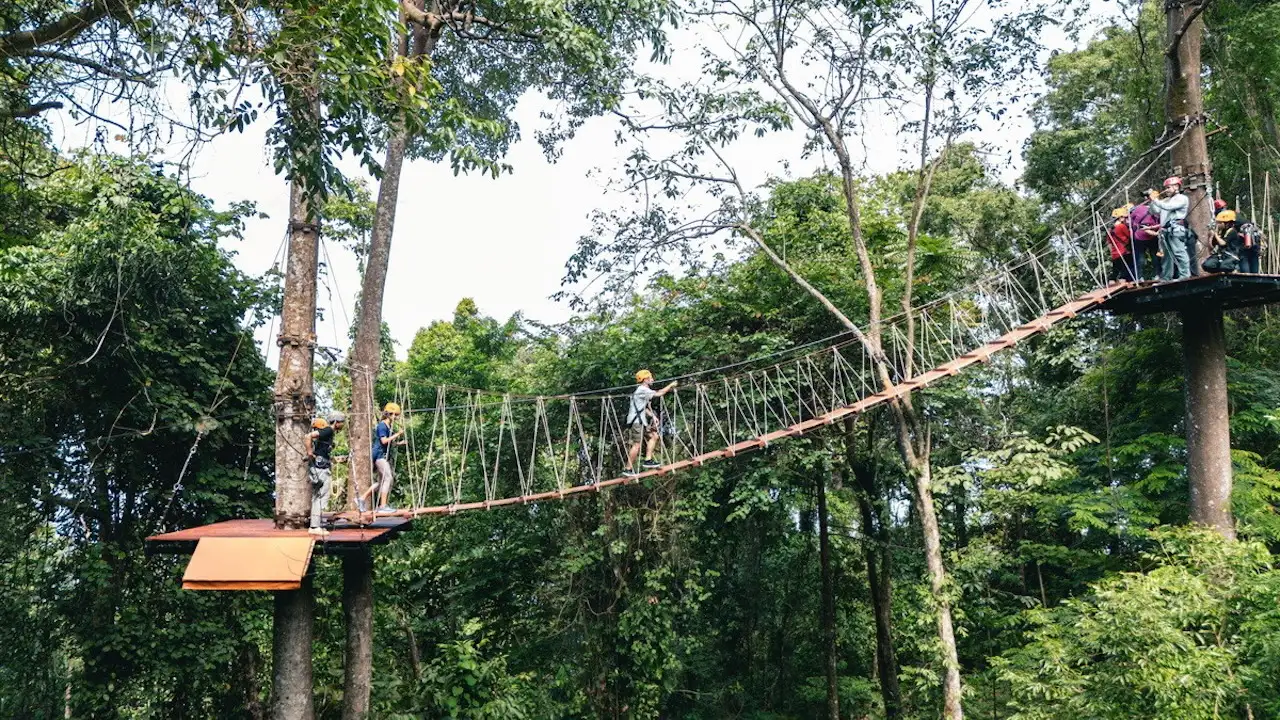 Zipline canopy